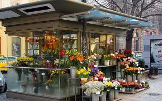 What is the profit from sales of flowers