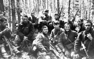 Front Karelia selama Perang Patriotik Hebat di Karelia 1941 1945 peta