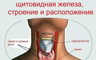 onlayn maslahatlar Hipotiroidizm va harbiy xizmat