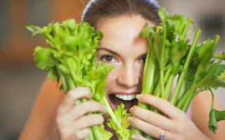 Koristi in škode zelene za moške in ženske Celery peclji koristne lastnosti
