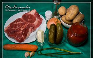 Азу — тушеная говядина с овощами и квашеными огурцами