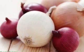 Beneficial properties, harm and contraindications for eating onions