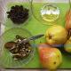 Казкова груша: рецепти випічки з грушею Простий десерт із груші