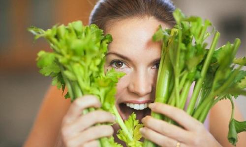 The benefits and harms of celery for men and women Celery petioles beneficial properties