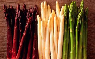 Come cucinare gli asparagi: ricette e consigli utili