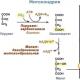 Глюконеогенез биохимия. NB! Глюконеогенез – механизм синтеза глюкозы. Включение аминокислот в синтез глюкозы